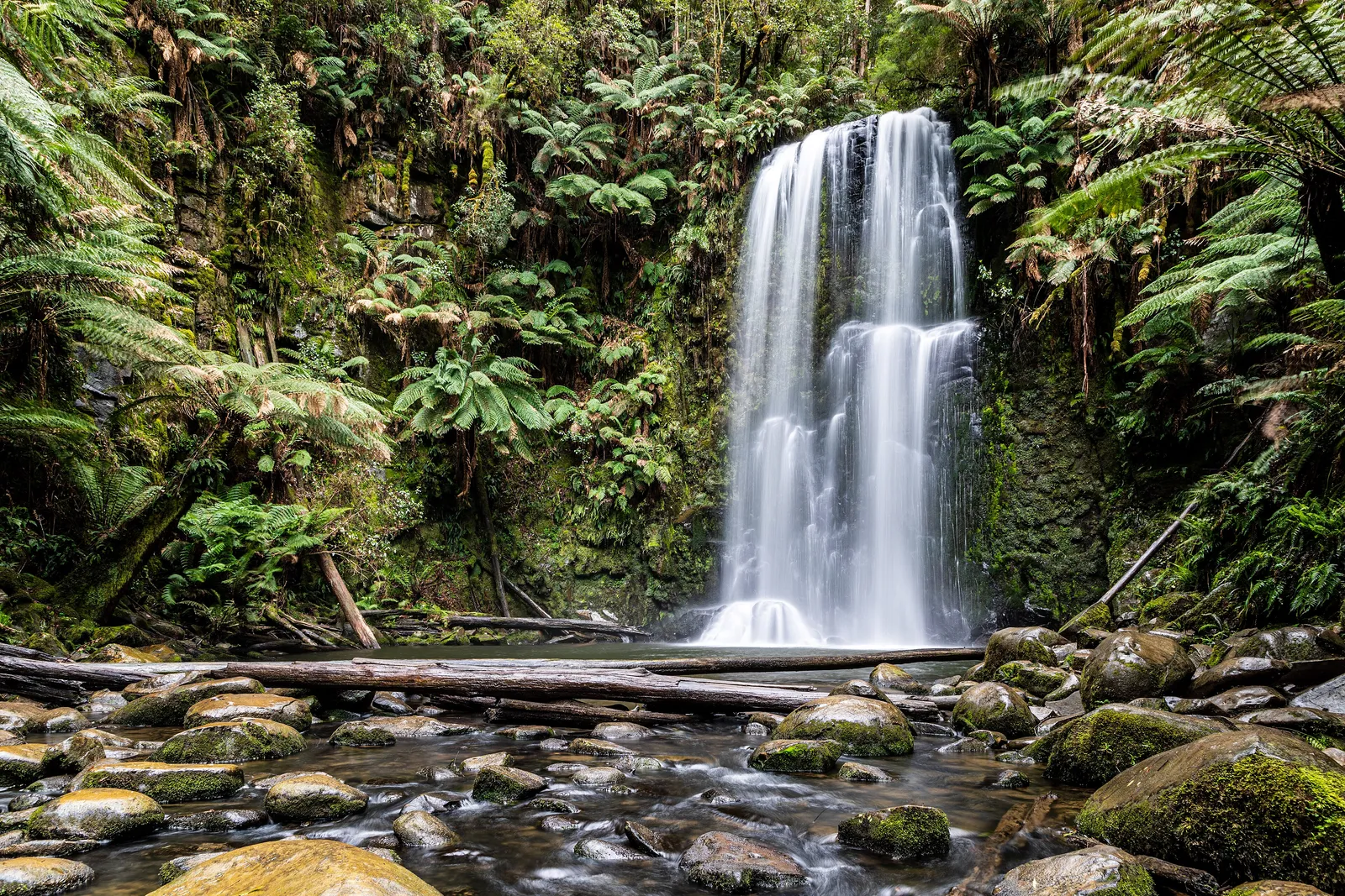 Beauchamp Falls dropping into a fern-filled gully in the Otway Ranges