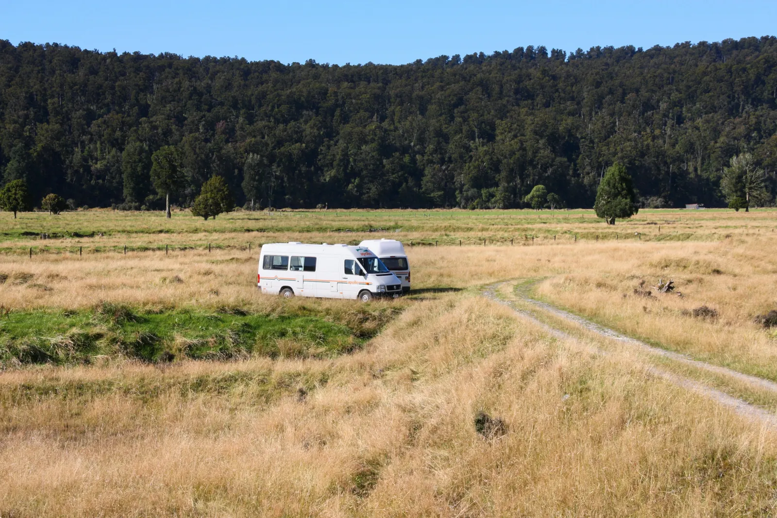 Campervans parked at a freedom camping spot on the West Coast of New Zealand