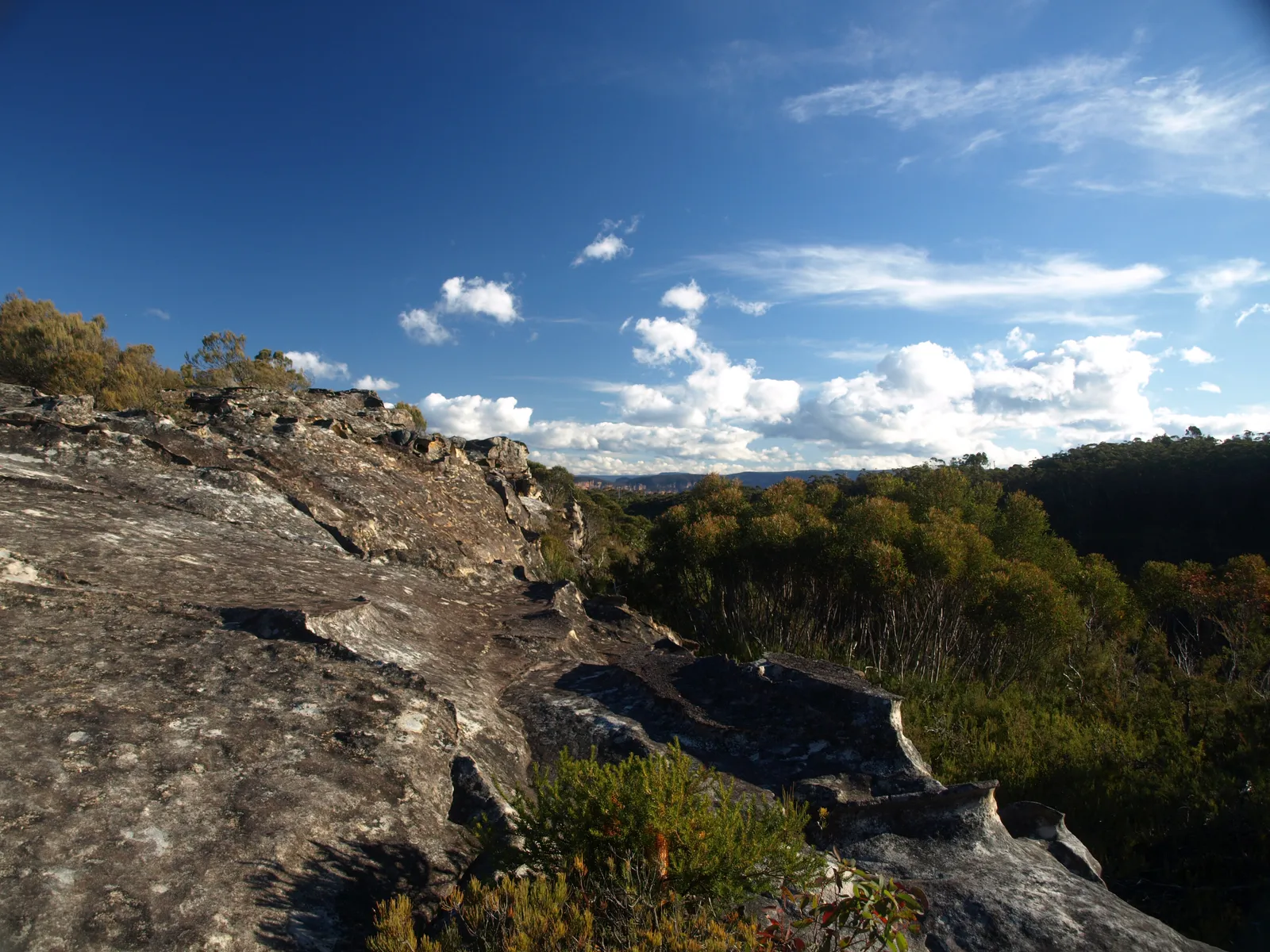 Kings Tableland in Blue Mountains National Park
