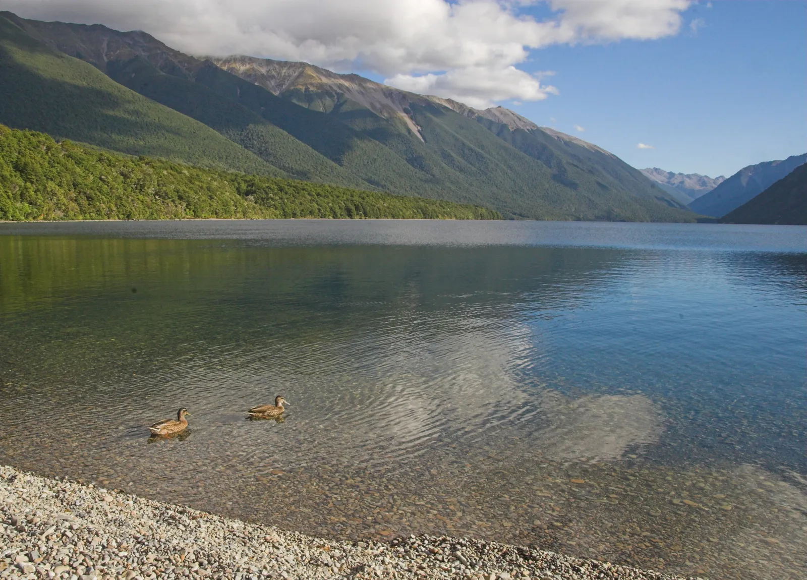 Lake Rotoiti in Nelson Lakes National Park