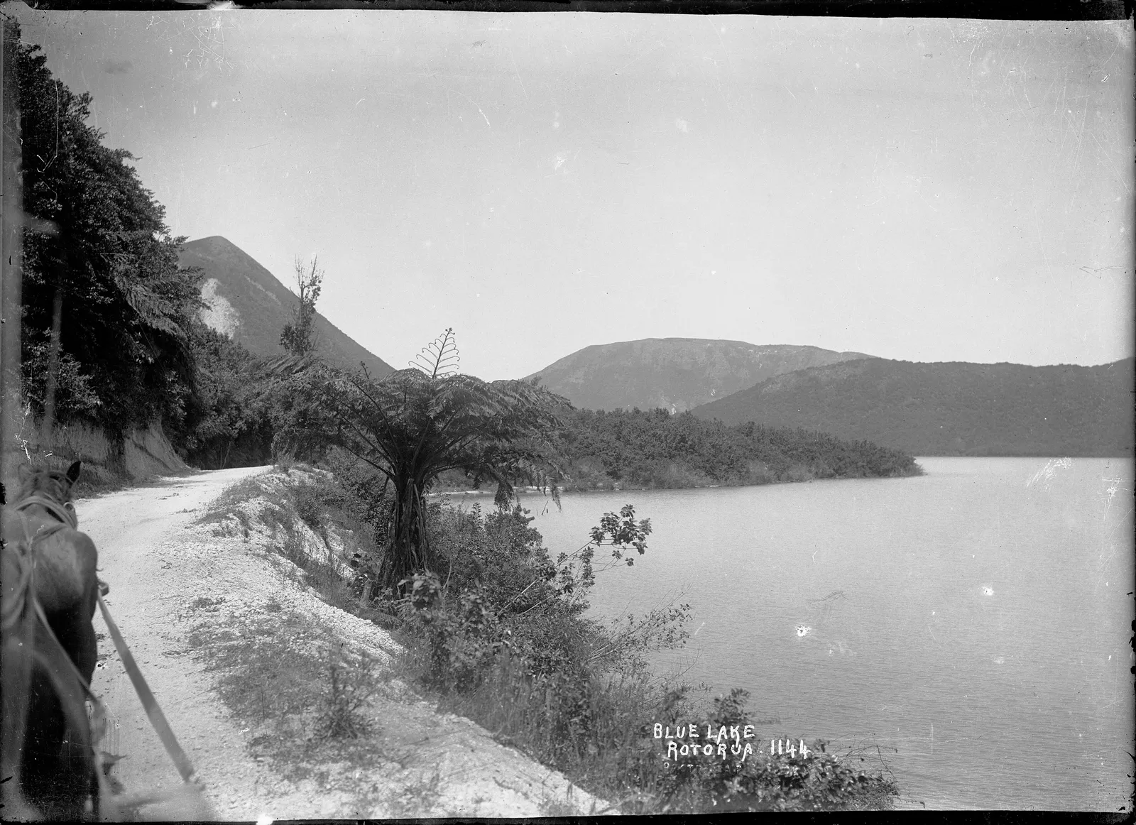 The Blue Lake (Tikitapu) near Rotorua in an archival photograph
