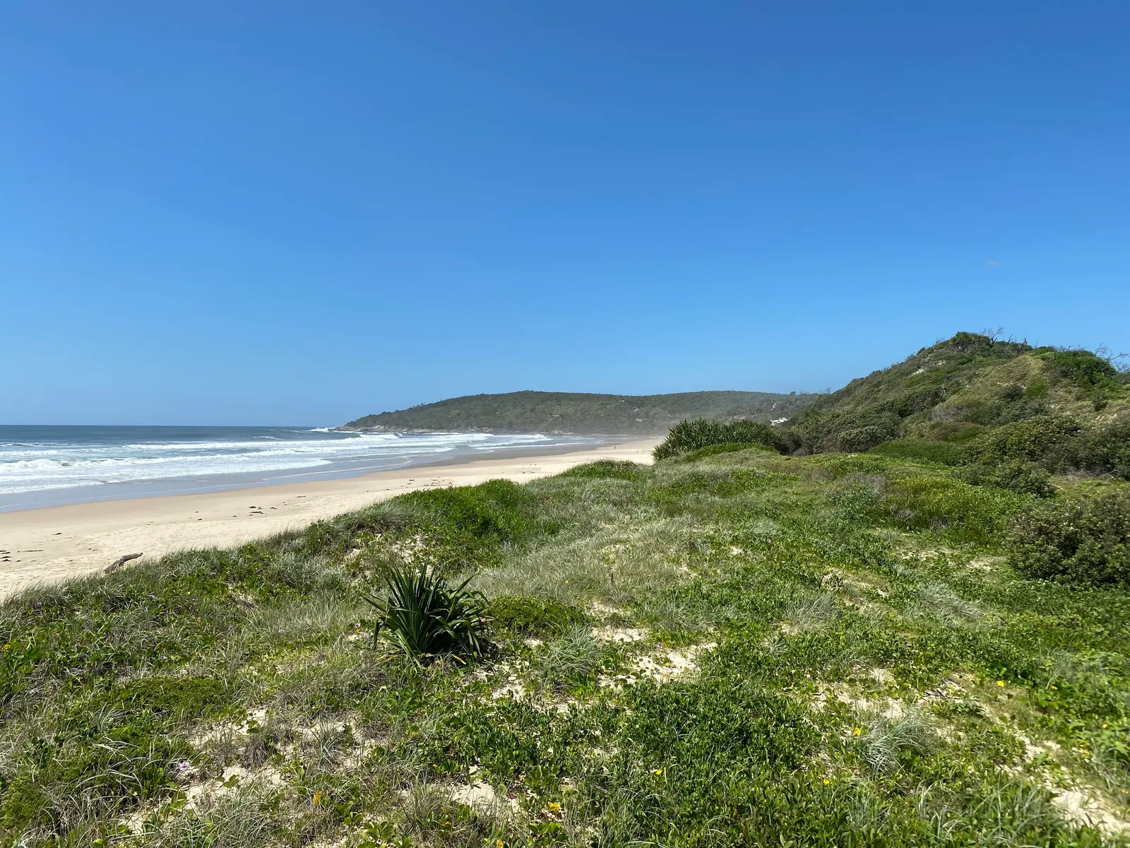 Angourie Back Beach in Yuraygir National Park