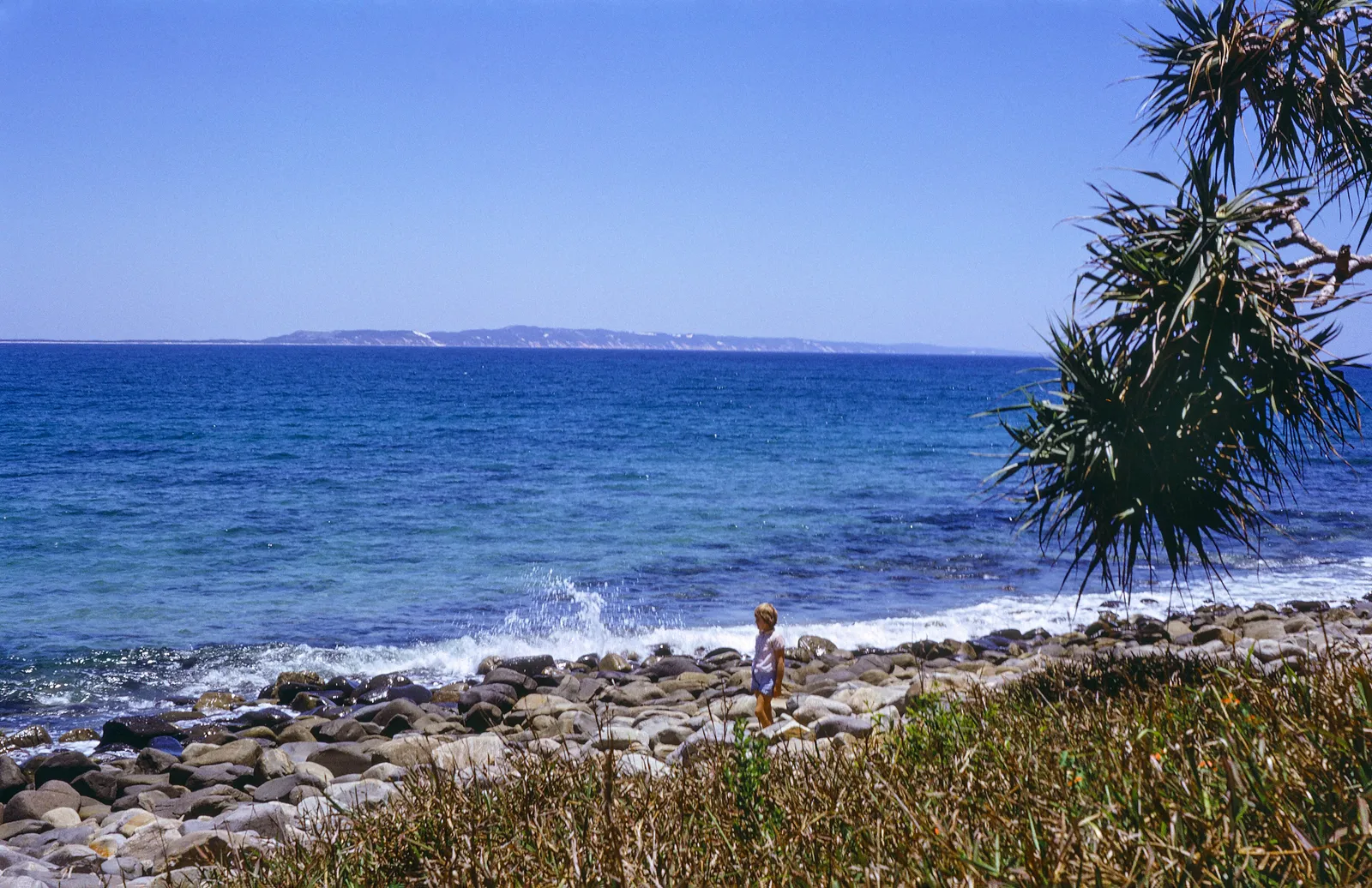 Teewah Beach in the Cooloola Recreation Area, Queensland