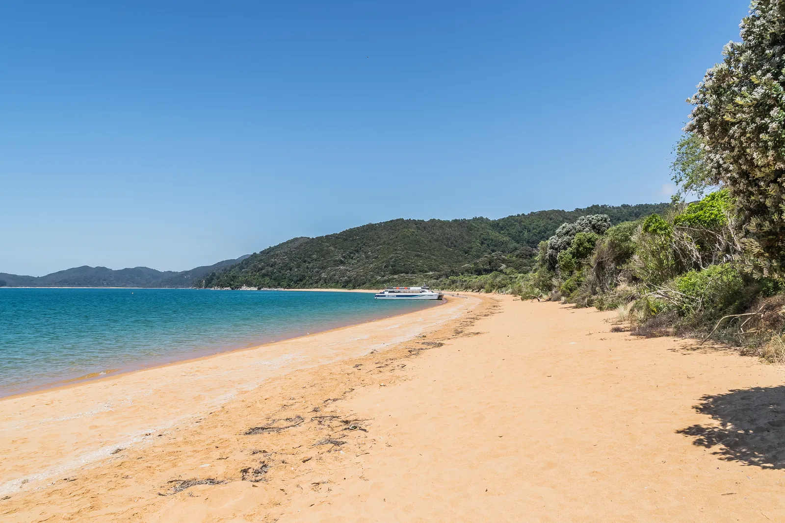 Tōtaranui Beach in Abel Tasman National Park