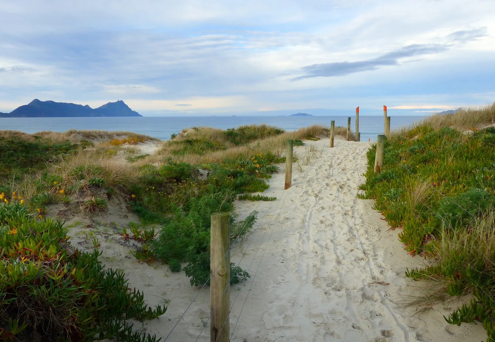 A beach access track at Bream Bay in Northland, New Zealand