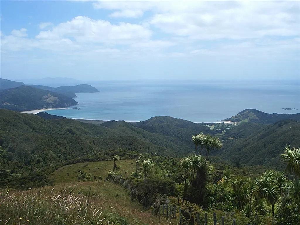 Waikawau Bay on the Coromandel Peninsula