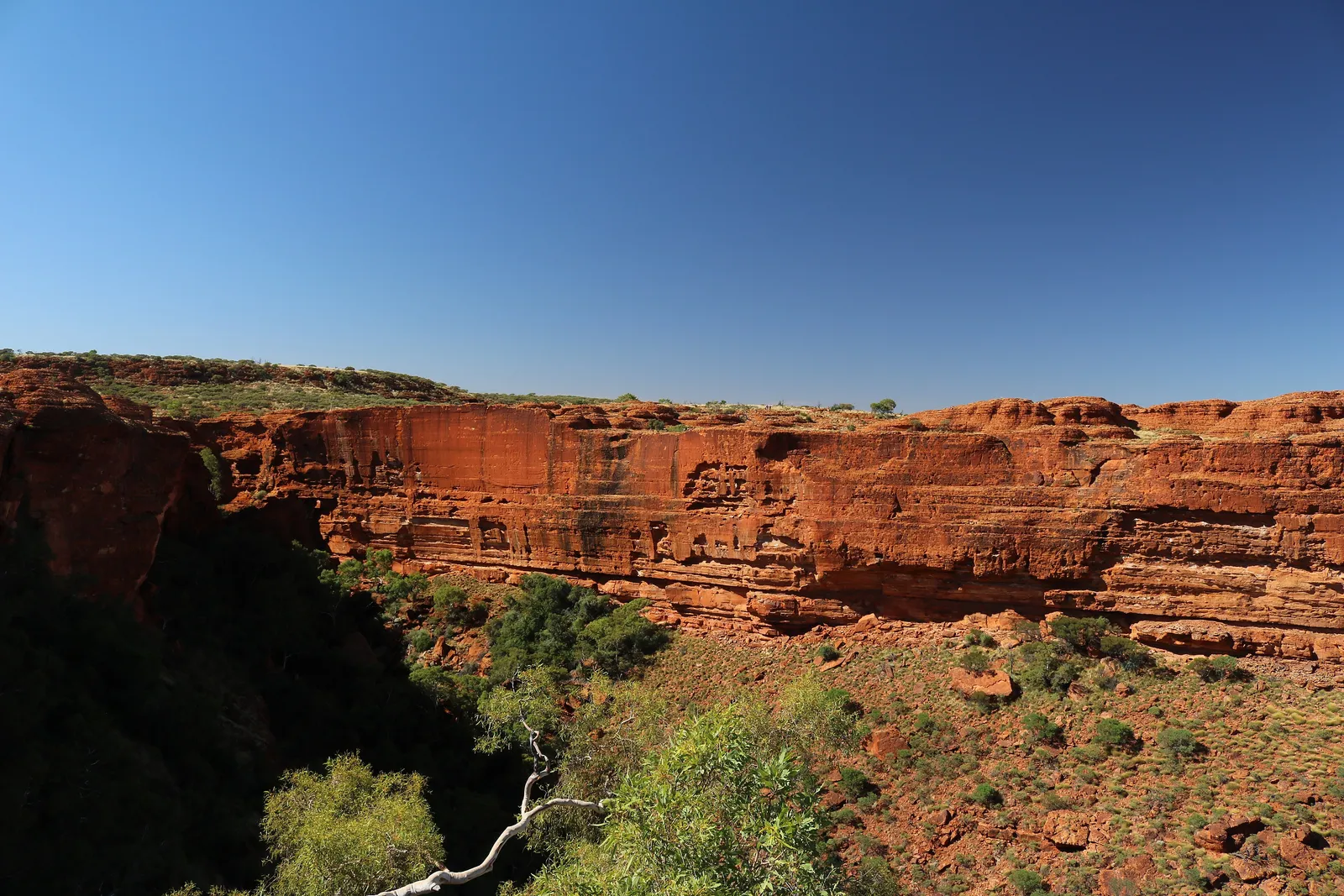 Sheer banded red sandstone walls of Kings Canyon dropping into a green gorge floor under deep blue sky