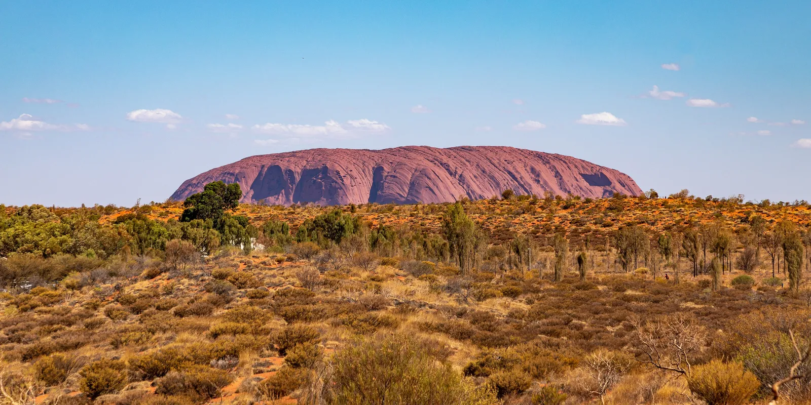 Uluru rising from flat desert scrub, its flanks ribbed with shadow under a wide pale sky