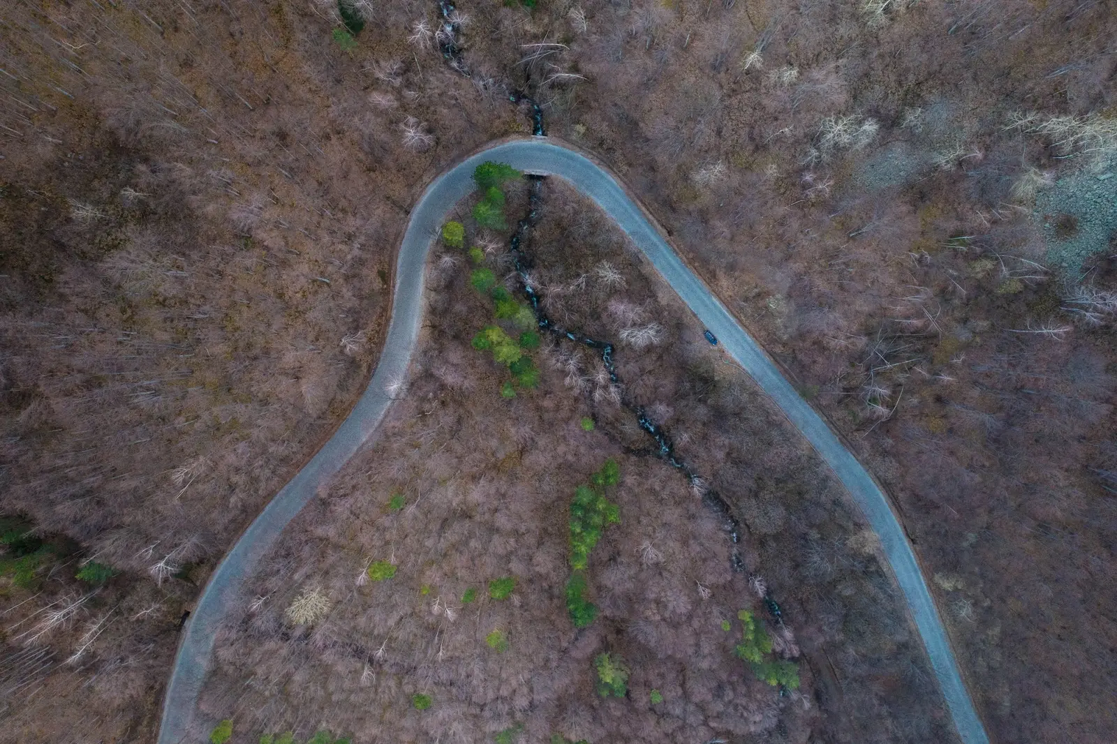 A winding road seen from above