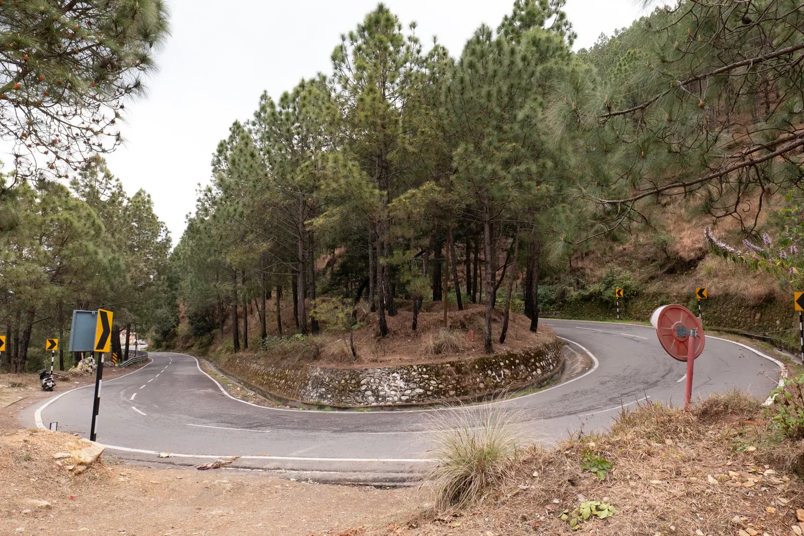 A road looping through tight hairpin bends