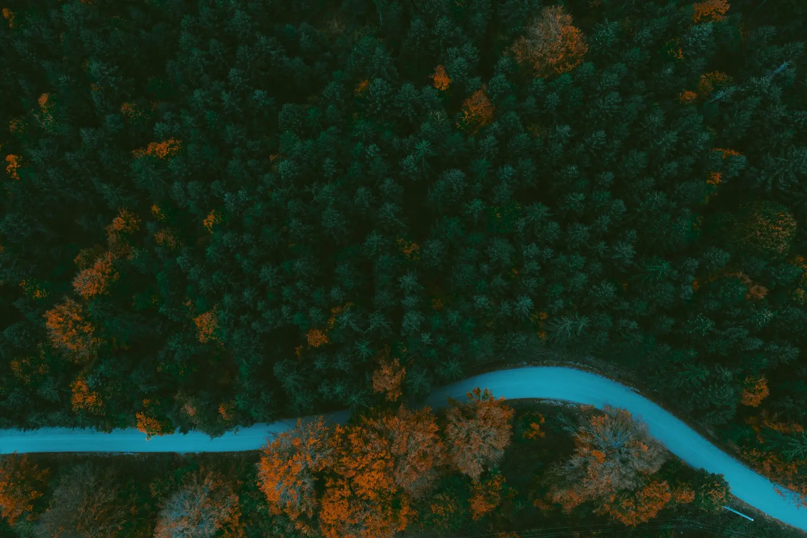 A winding road seen from above
