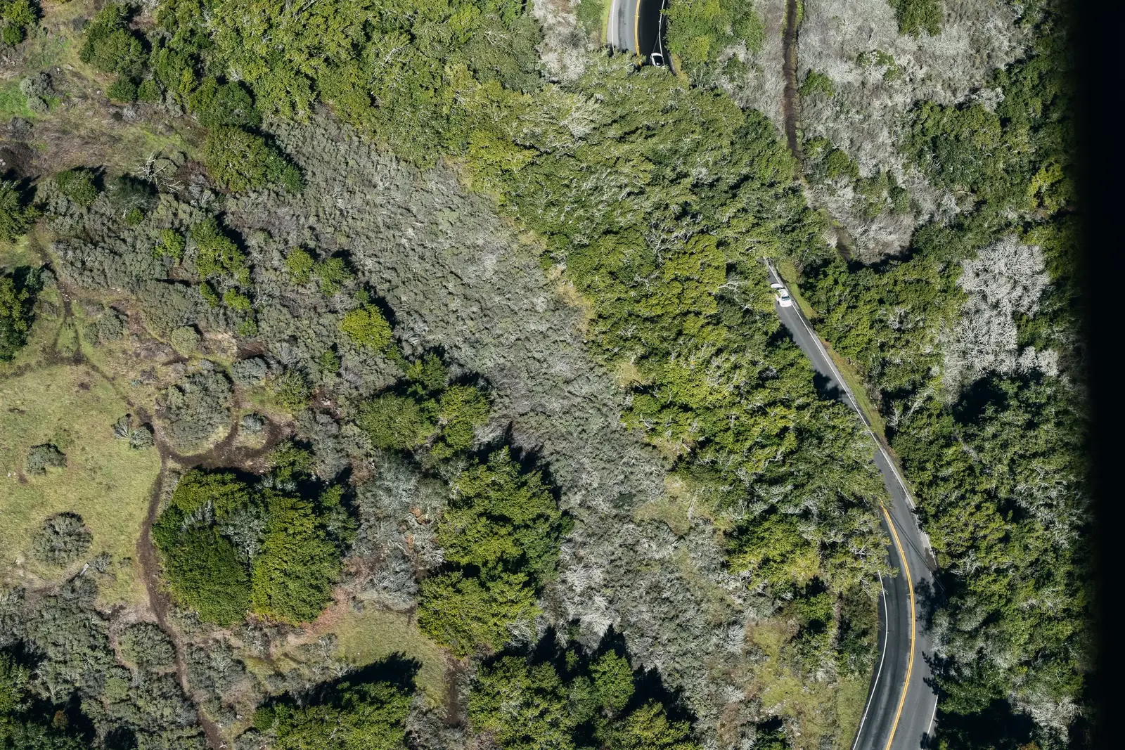 A winding road seen from above