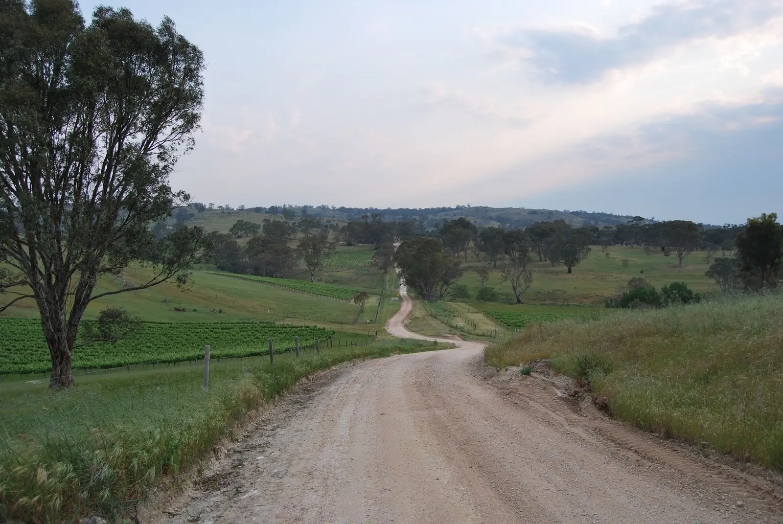 A country road through farmland