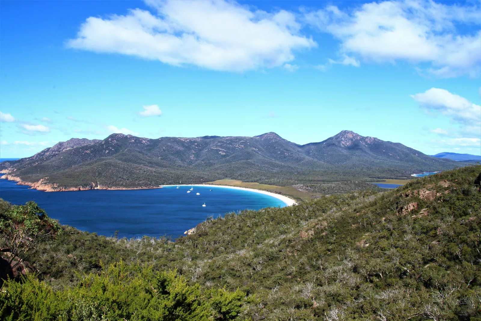 The curved white sand crescent of Wineglass Bay seen from the lookout above, backed by granite hills