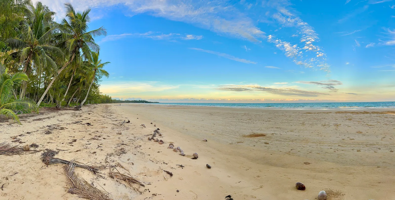 A wide, empty sandy beach with coconut palms on the left and a calm sea under a soft blue sky