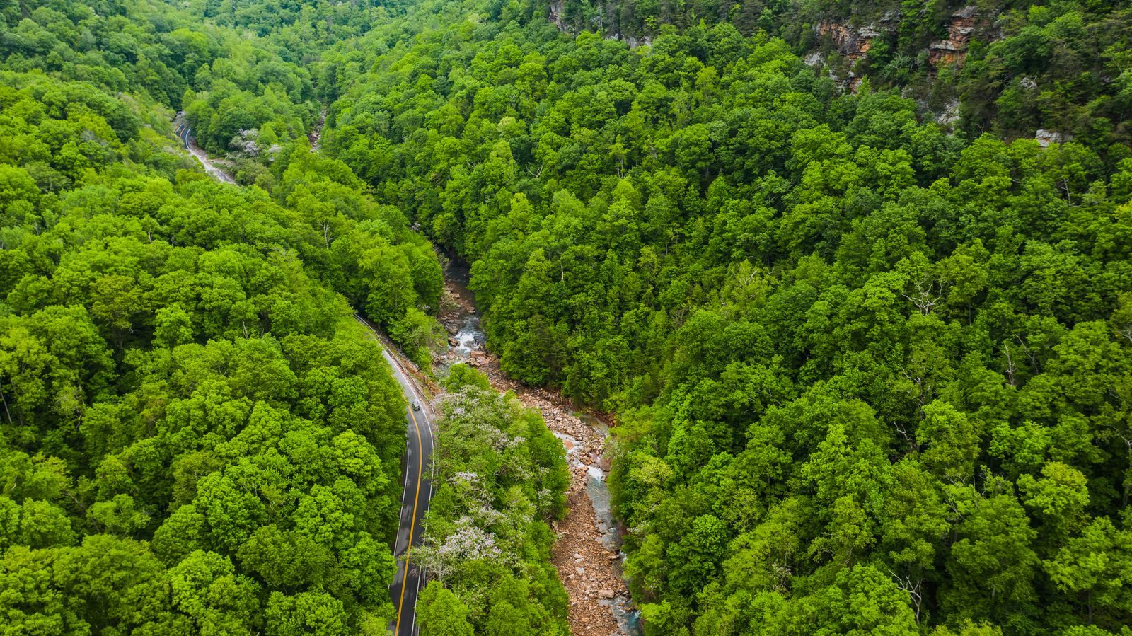 Tail of the Dragon (US 129)