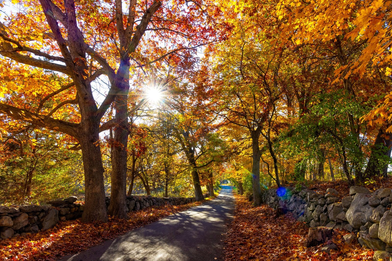 The Mohawk Trail